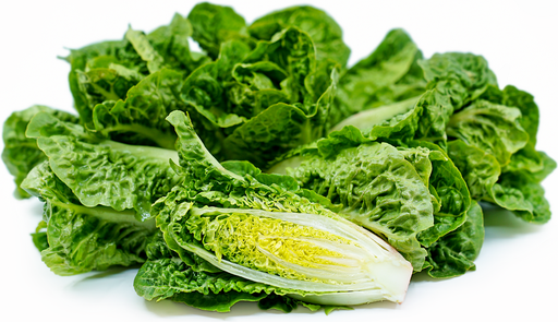 Baby Romaine
