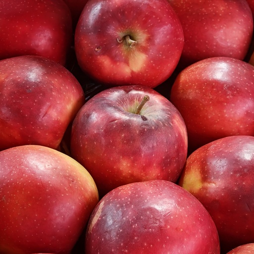 Apple Fuji Japan (12pcs/box)