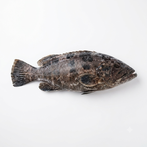 Frozen Black Lapu Lapu (400-500g/pack)