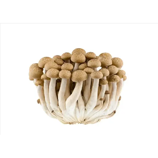 Mushroom Brown Shimeji (200-250g/pack)