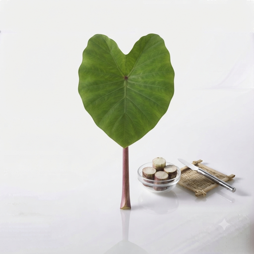 Gabi Stem/Leaves (For Laing)