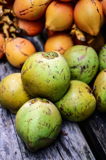 Buko Malauhog (young coconut)