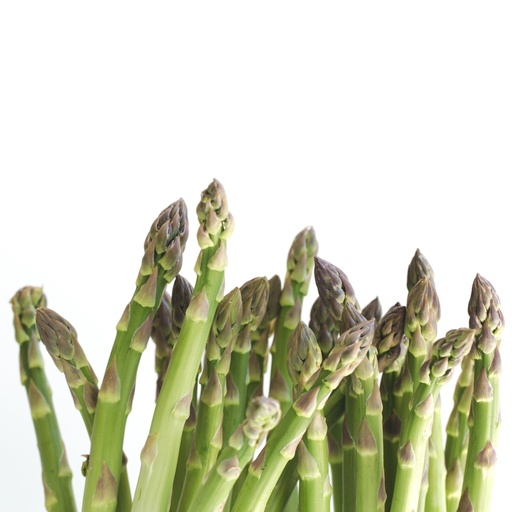 Asparagus Baby