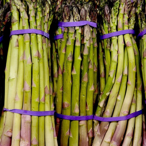 Asparagus Baby Wholesale