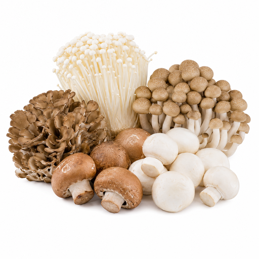 Assorted Mushroom Bundle