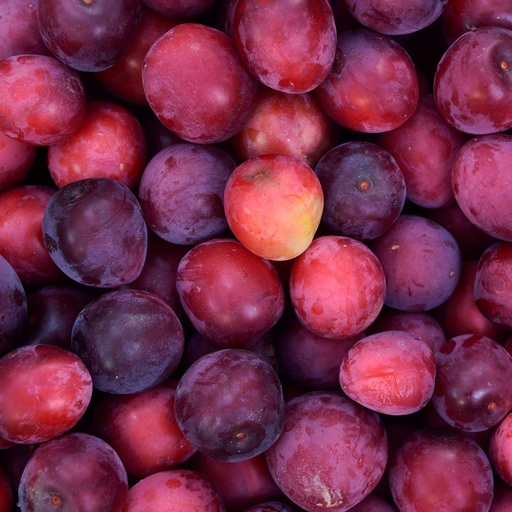 Australian Plum
