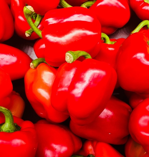 Bellpepper Capsicum Red