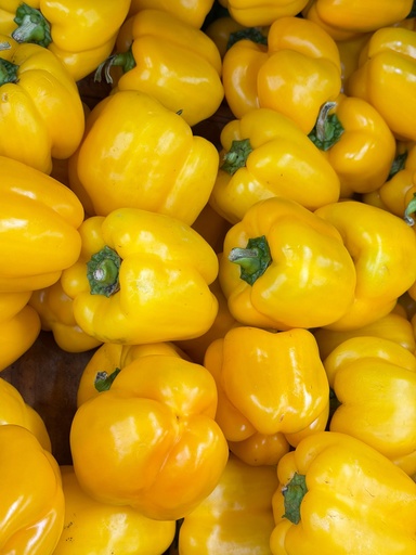 Bellpepper Capsicum Yellow