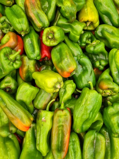 Bellpepper Green