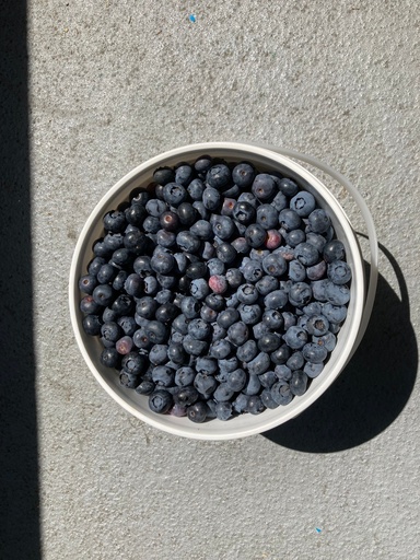 Blueberry Grande Brande - Box