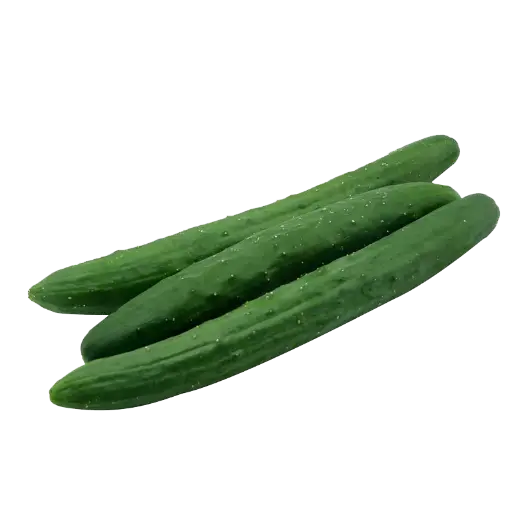 Cucumber Wholesale