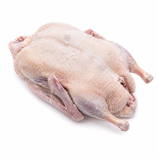 Duck Whole Frozen