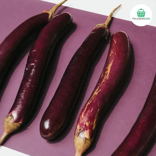 Eggplant Wholesale
