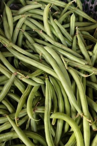 French Beans