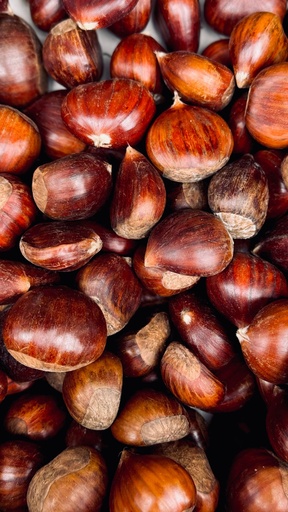 Fresh Castanas