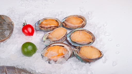 Frozen Abalone