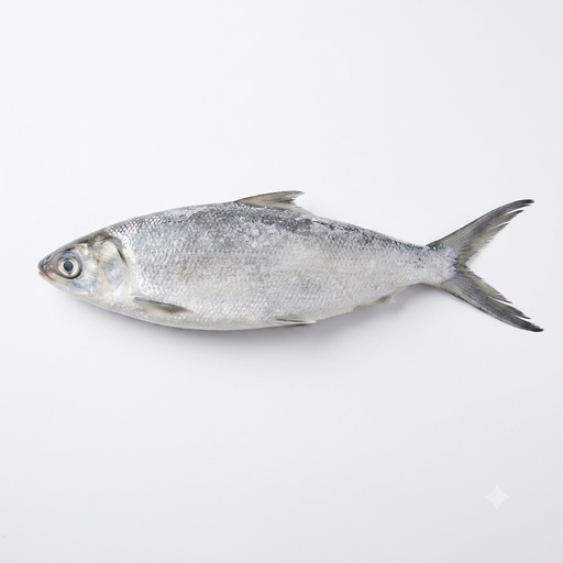 Frozen Bangus