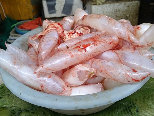 Frozen Fish Maw