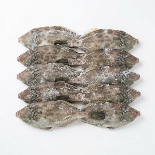Frozen Leatherjacket Fish