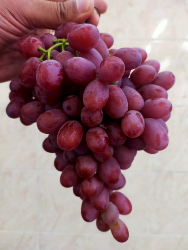 Grapes Seedless Crimson Au -Pc