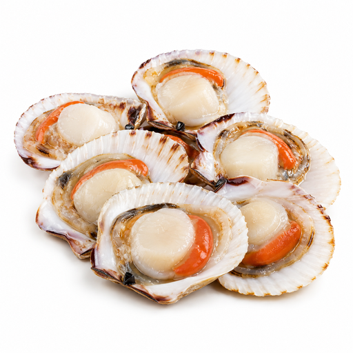 Half Shelled Scallop