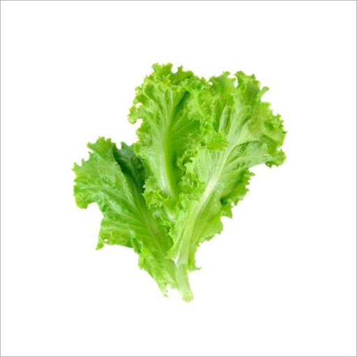 Lettuce Baguio