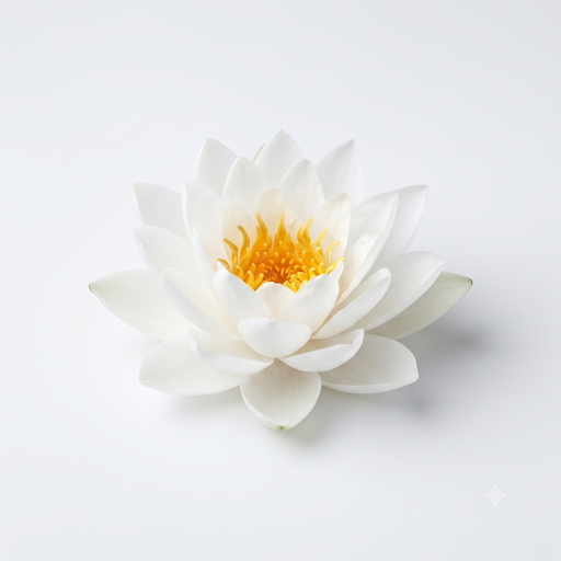 Mix Hongkong White Lotus 2