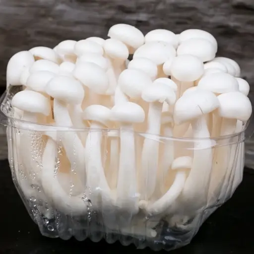 Mushroom White Shimeji 200-250G/Pack