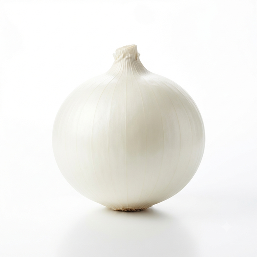 WHITE Onion Medium