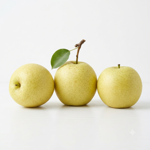 Pear Japan Tottori 