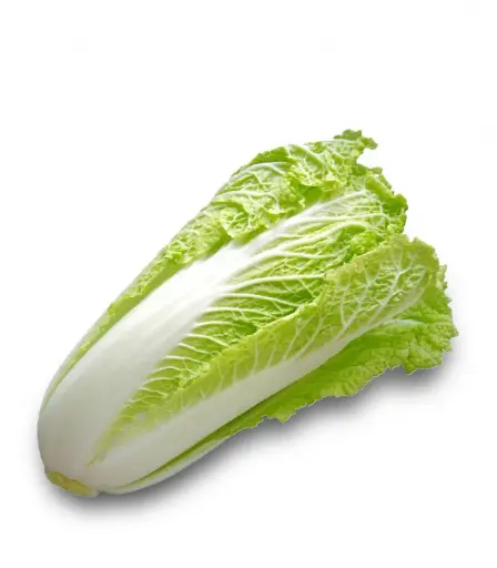Pechay Baguio/ Pechay Chinese/ Cabbage Chinese