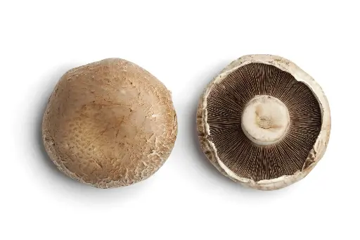 Portobello White