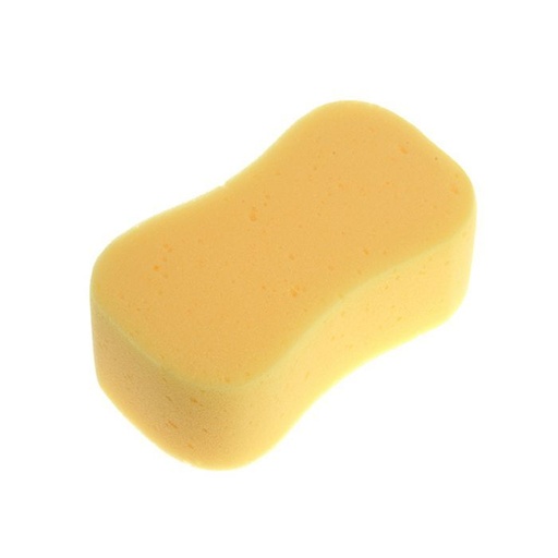 Sponge