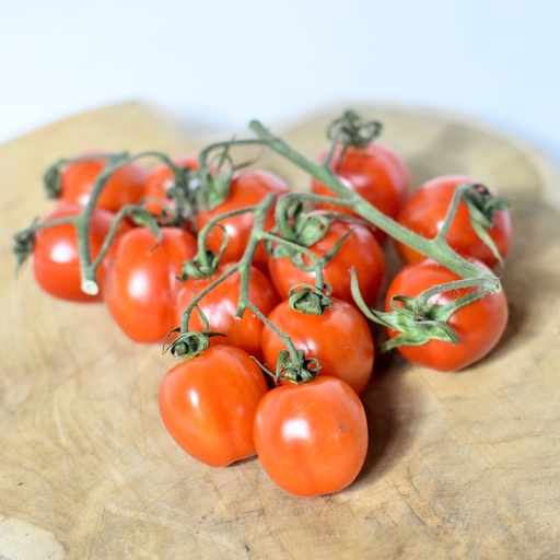 Tomato Cherry (PURE RED)