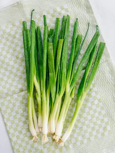 Scallion