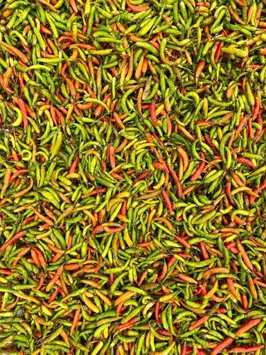 Bird Eyes Chilli