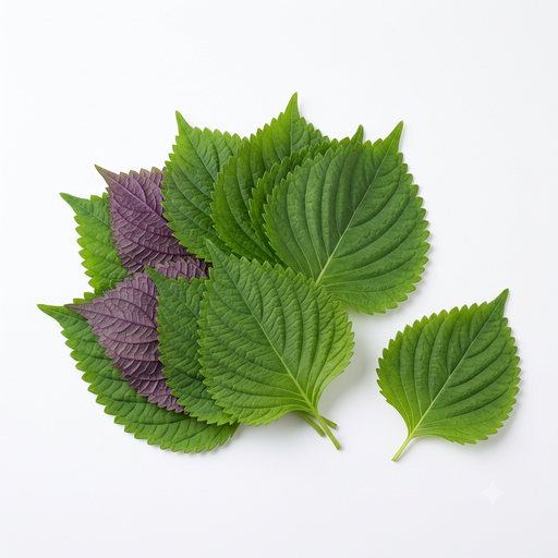 Perilla Leaves (10pcs/pack)