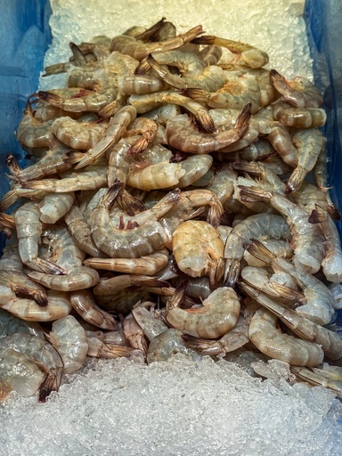 Fresh Suahe Large